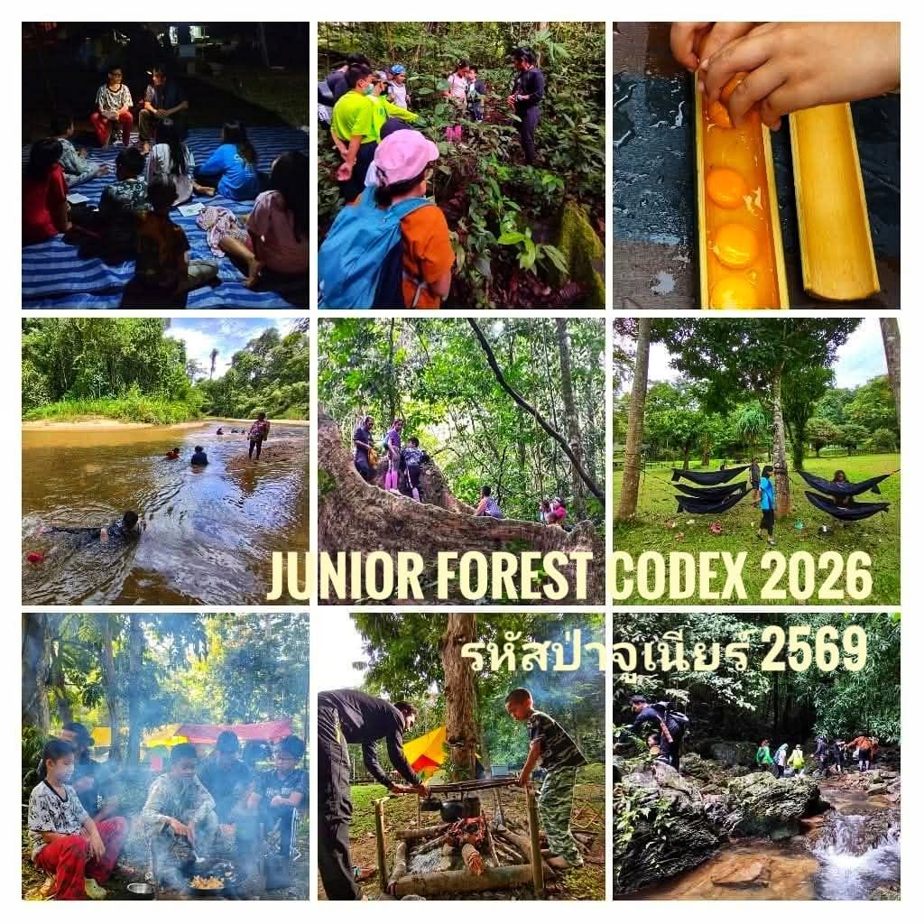 รหัสป่า Junior รุ่น 69  8-10 ส.ค.69 รับเด็ก 6-12 ปี 